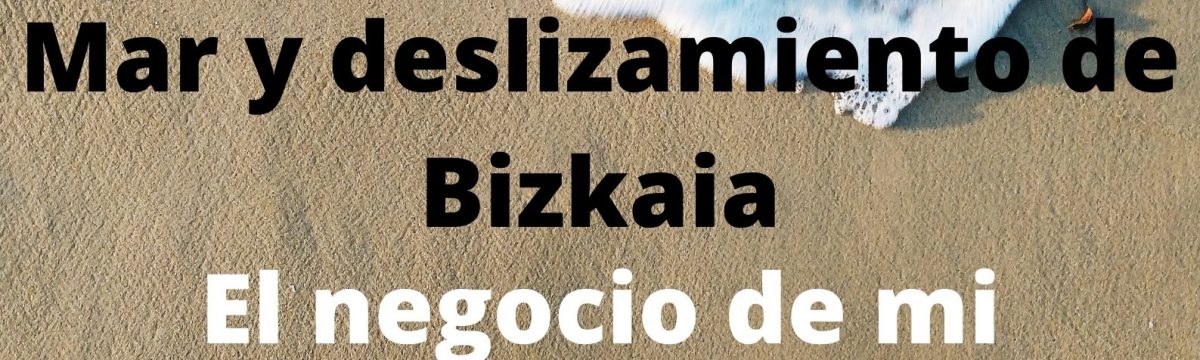 WEBINAR FORMATIVO SOBRE SURF E INTERNET PARA LA INDUSTRIA DE BIZKAIA header image