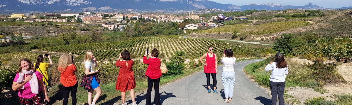 MEET BASQUE COUNTRY-REN HIRUGARREN EDIZIOAK NAZIOARTEKO 60 OPERATZAILE TURISTIKO INGURU HARTU ZITUEN EUSKADIN header image