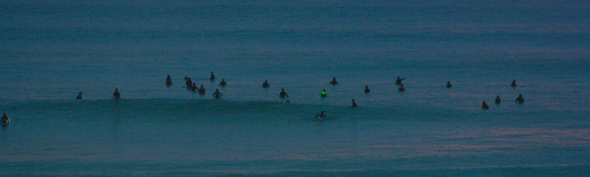 SURFEKO HERRIEN SAREA. KANTAURIKO SURF UDALERRIEN ARTEKO LANKIDETZA PROIEKTUA EBk FINANTZATUTA header image